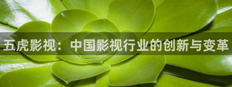 电视剧免费观看电视剧大全在线观看樱桃红：五虎影视：中国影视行业的创新与变革