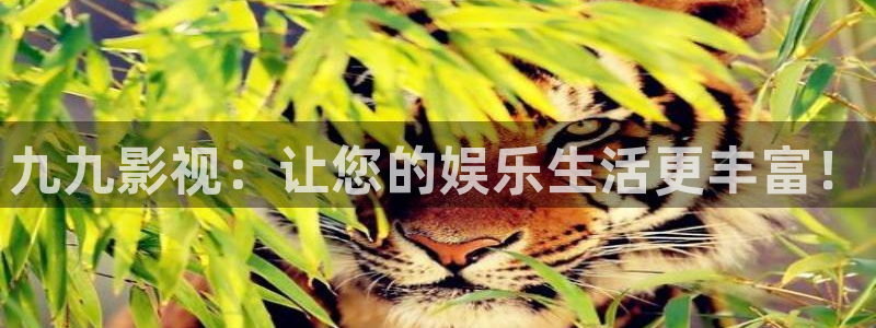 樱桃蜜桃视频：九九影视：让您的娱乐生活更丰富！