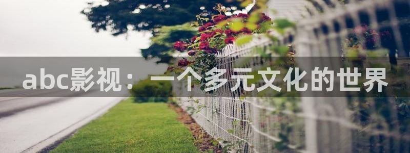樱桃美国电影：abc影视：一个多元文化的世界