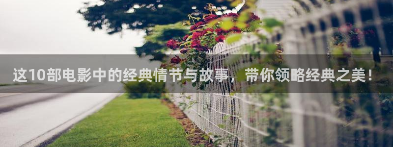 樱桃视频二维码：这10部电影中的经典情节与故事，带你领略经典之美！