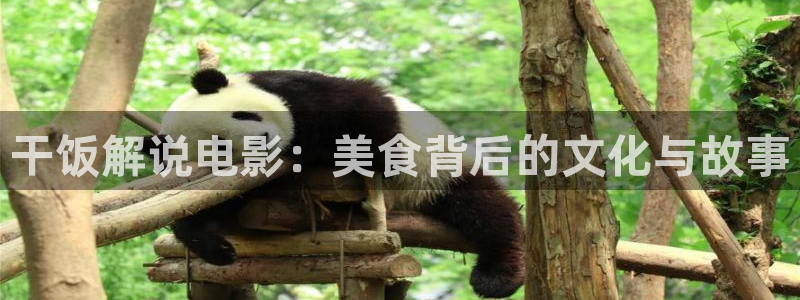 樱桃视频wwww