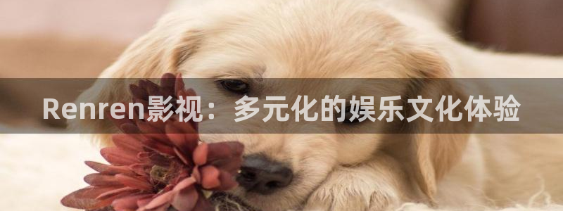 樱桃视频啊啊啊：Renren影视：多元化的娱乐文化体验