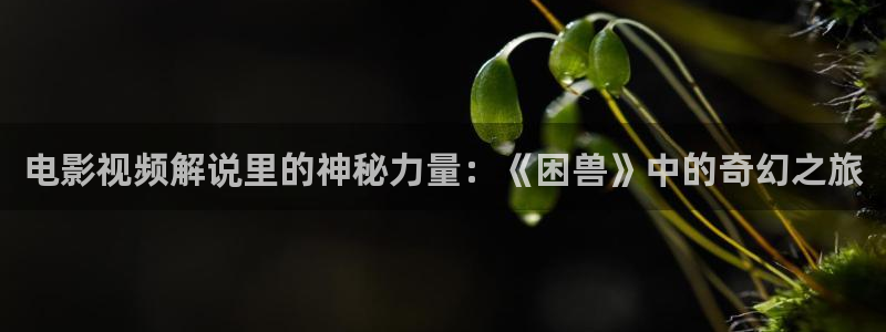 樱桃酵素怎么做视频