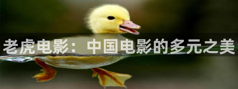 免费看樱桃小视频的入口