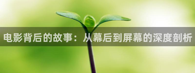 樱桃视频yingtao入口