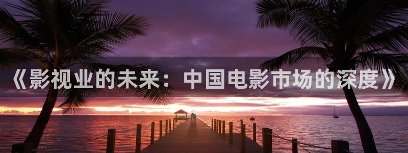 樱桃电视剧全集观看：《影视业的未来：中国电影市场的深度》