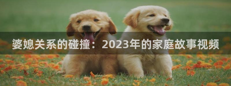 樱桃视频,网站：婆媳关系的碰撞：2023年的家庭故事视频