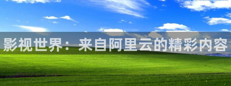 樱桃视频 网站
