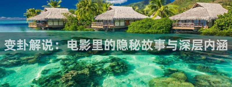 樱桃视频程序