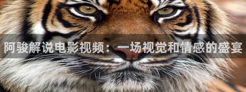 樱桃视频未满18岁