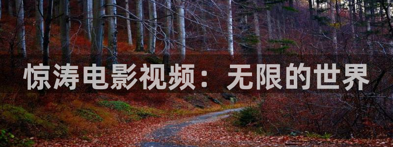 国产成人久久樱桃影视：惊涛电影视频：无限的世界