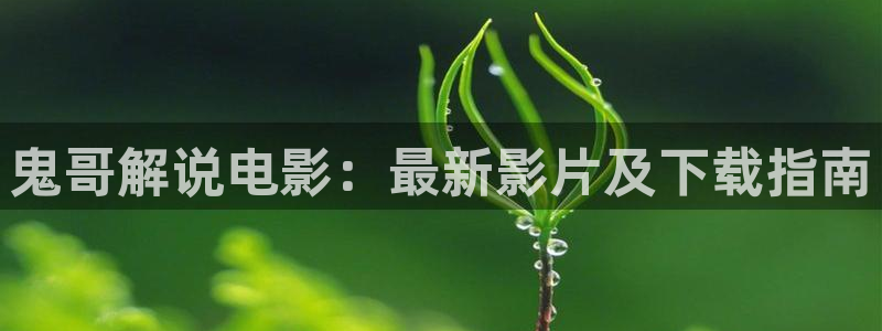 樱桃视频一区二区三区：鬼哥解说电影：最新影片及下载指南