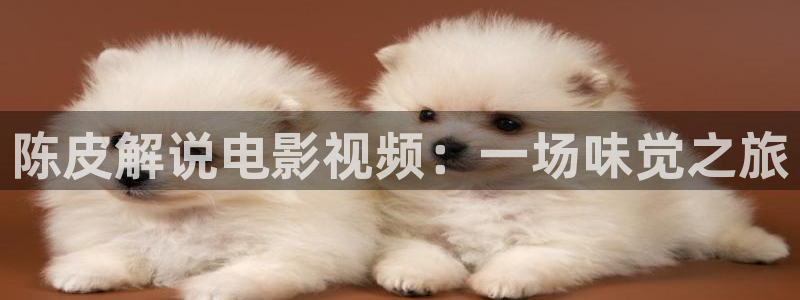 免费看樱桃视频：陈皮解说电影视频：一场味觉之旅