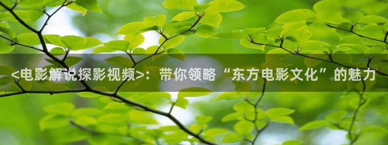 成都樱桃：<电影解说探影视频>：带你领略“东方电影文化”的魅力