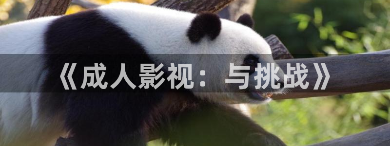 电视剧樱桃全集观看：《成人影视：与挑战》