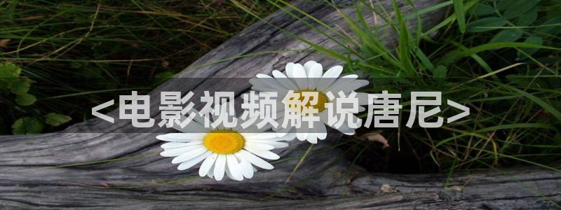 樱桃剪枝技术视频：<电影视频解说唐尼>
