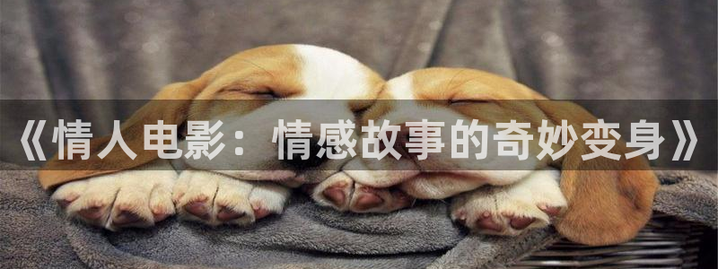 超碰在线97樱桃：《情人电影：情感故事的奇妙变身》