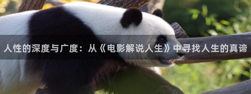 樱桃视频下载app下载安装：人性的深度与广度：从《电影解说人生》中寻找人生的真谛