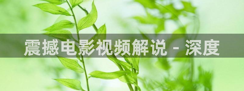 红樱桃在线观看免费高清电视剧全集：震撼电影视频解说 - 深度