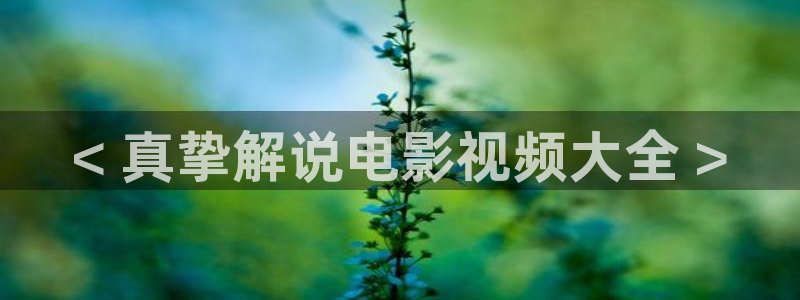 樱桃视频永久在线观看：< 真挚解说电影视频大全 >