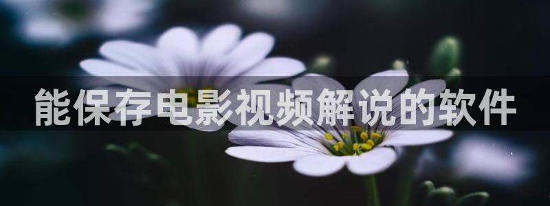 樱桃果盘串珠教程视频：能保存电影视频解说的软件