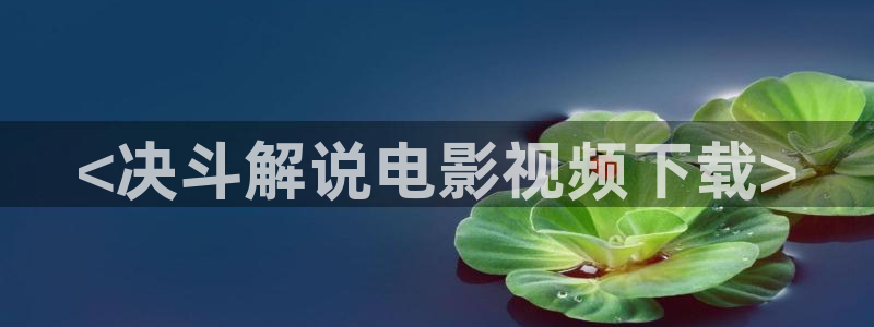 一级片樱桃视频：<决斗解说电影视频下载>