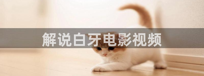 樱桃视频在线观看免费高清完整版：解说白牙电影视频
