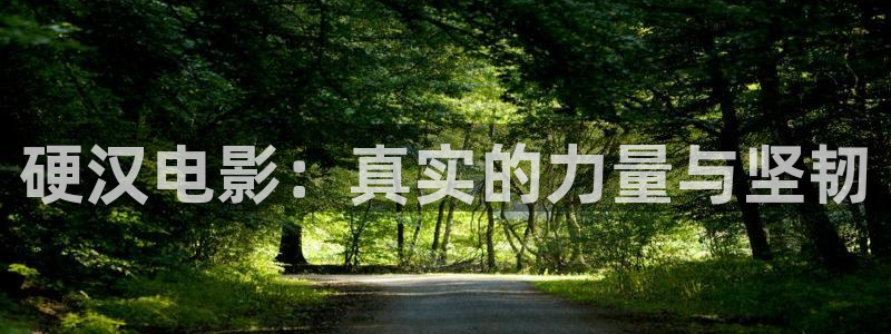 樱桃视频 1080p 下载：硬汉电影：真实的力量与坚韧
