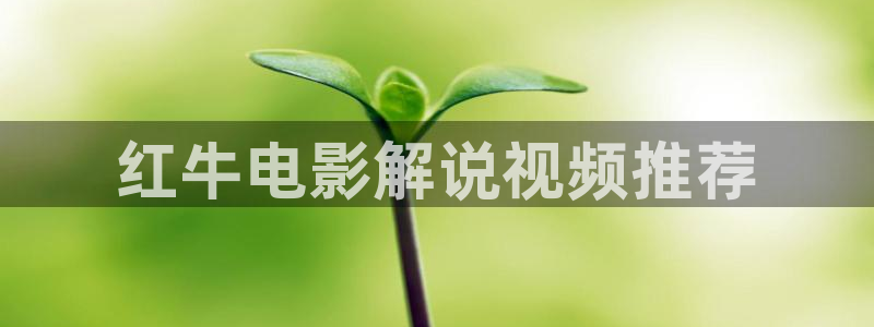 樱桃视频影视在线观看免费：红牛电影解说视频推荐