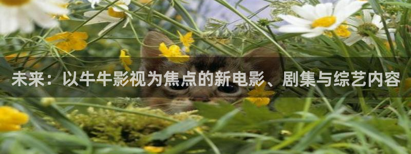 樱桃视频在线：未来：以牛牛影视为焦点的新电影、剧集与综艺内容
