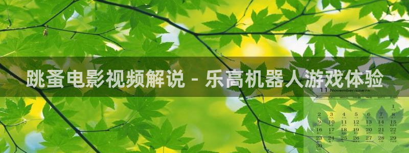 樱桃视频app在线免费观看：跳蚤电影视频解说 - 乐高机器人游戏体验