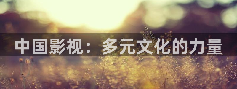 红樱桃影院电视剧在线播放免费观看高清：中国影视：多元文化的力量