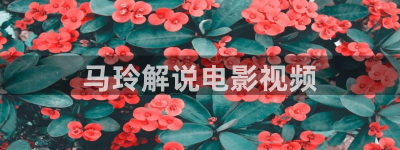 樱桃电视剧全部：马玲解说电影视频