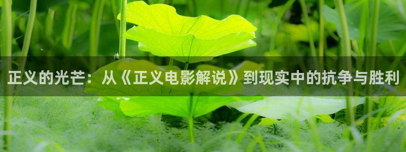樱桃视频国产在线：正义的光芒：从《正义电影解说》到现实中的抗争与胜利
