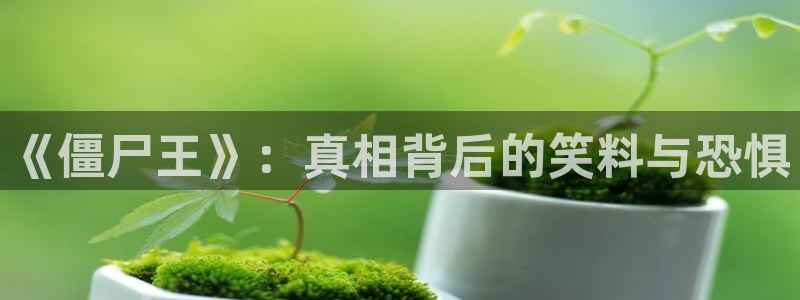 樱桃视频电影：《僵尸王》：真相背后的笑料与恐惧